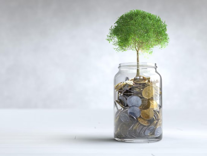 XIRR-in-Mutual-Fund